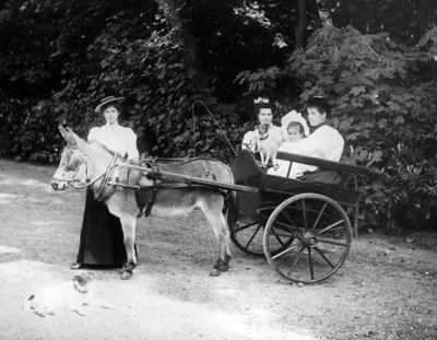 Chariot à âne victorien, vers 1890 - English Photographer